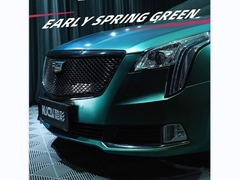 TPU- ранневесенний зеленый (блестящий)